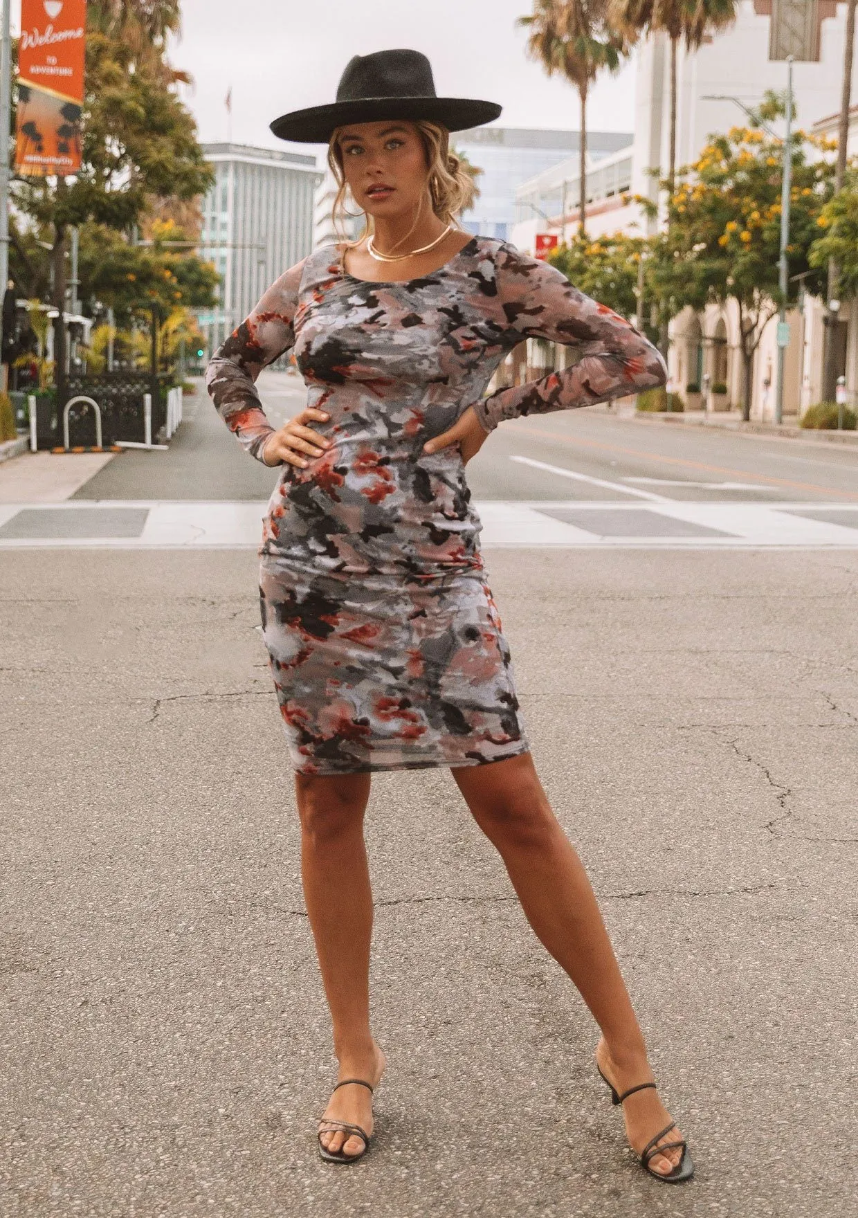 Iggy Sheer Midi Dress