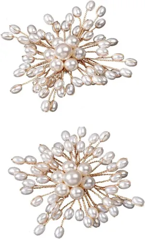 Women's Floral Shoe Buckle Shoe Clips Crystal Rhinestone Shoes Jewelry for Bridal Wedding Party Shoe Decoration